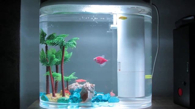 Xiaomi HF-JHYGZH001 Descriptive Geometry Ecological Fish Tank Aquarium LED Light смотреть онлайн