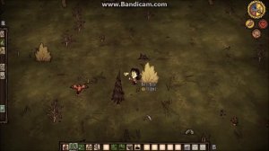 Don't Starve (PC, PS4, XBOX ONE) A Haunted Spider