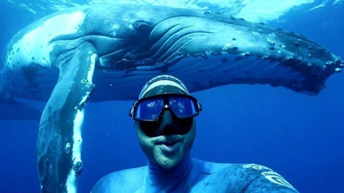 ПОДВОДНЫЙ МИР !!! смотреть онлайн