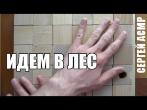 Идём в лес (АСМР мужской голос/ASMR russian male) #6