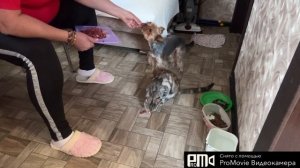 Готовим вместе ЖРАТЬ!😻💃🇷🇺