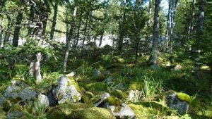 Гора Большой Кумардак, Малый Кумардак. Уральский Барс. Первый этап. День второй.