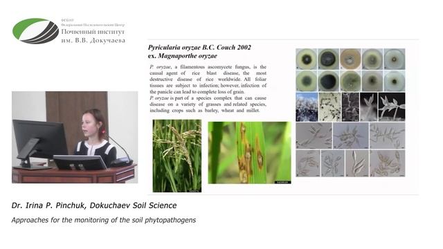 Approaches for the monitoring of the soil phytopathogens