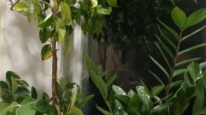 Сонет Часам на Спасской башне