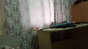 звуки сирены что происходит 😱😰