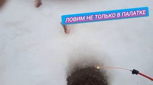 Мы вернулись на 👉👉👉это 👍👏😆озеро.