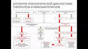 Эффективность и качество этиологической диагностики туберкулеза