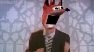 WOAH Crash Bandicoot Compilation (INSANELY DANK)