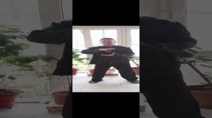 Третий волшебный звук И ЦЗИНА.Стихия Земля.