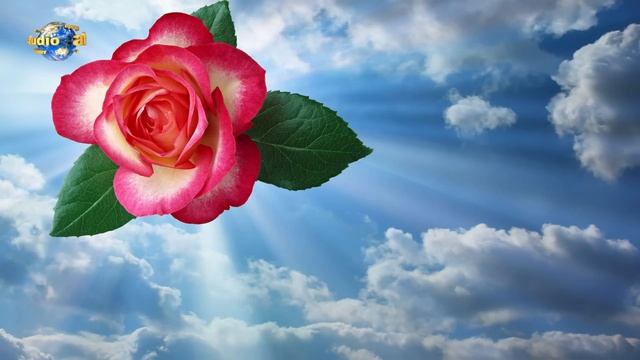 Жемчужины мысли смотреть онлайн