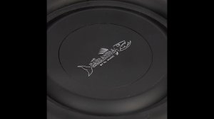 Распаковка сабвуфера DL Audio Barracuda 8 Flat