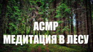 АСМР Медитация в лесу (мужской голос) | ASMR Forest meditation (russian male voice)