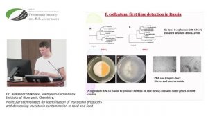 Molecular technologies for identification of mycotoxin producers and decreasing mycotoxin...