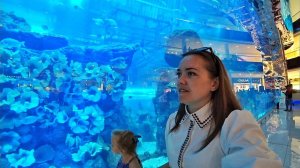 ВЛОГ ОАЭ  Дубай. Dubai Mall Aquarium & Underwater Zoo 27.11.2017