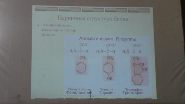 Левашов А. В. - Химические основы биологических процессов - 13. Структура и стабильность ферментов