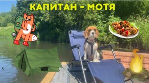 Собака Сплавляется На Плоту. Большая Прогулка По Реке / The dog floats on a raft. Great River Walk
