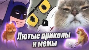 Мемы и мемы #приколы #мемы #мем #юмор #школа #хахашечная #лютыеприколы