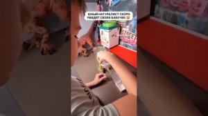 Ферма бабочек "Бабочкарий" Флай-Флай - настоящие тропические бабочки у тебя дома!