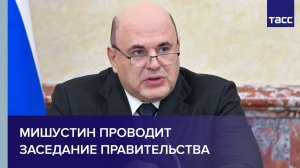 Мишустин проводит заседание правительства