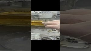 Исследование рыбы 4