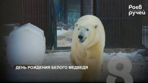 Программа "Главные новости" на 8 канале от 04.12.2024 Часть 2