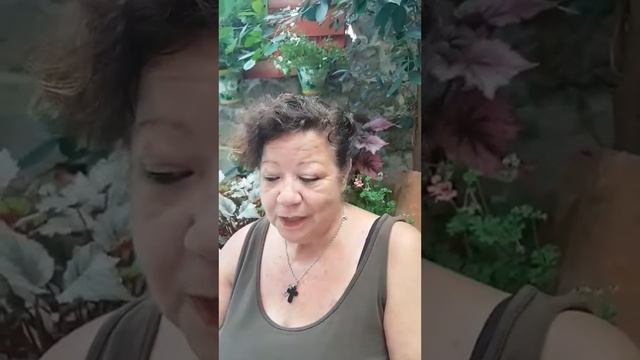 «Маленький принц» на испанском языке. Фрагмент. смотреть онлайн