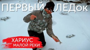 ХАРИУС. ПЕРВЫЙ ЛЕД НА МАЛОЙ РЕКЕ. Душевная зимняя рыбалка