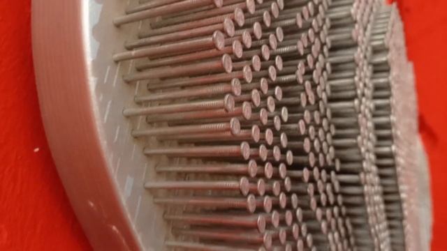 Граф Серго. Аукцион на дне рождения. Тревелблог Апраксина Лада. Санкт-Петербург