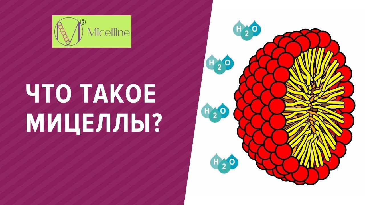 Что такое мицеллы?