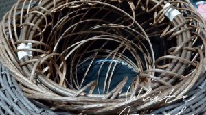 как сделать Бортик из толстой лозы