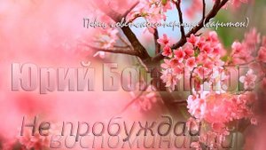 Юрий Богатиков - Не пробуждай воспоминаний