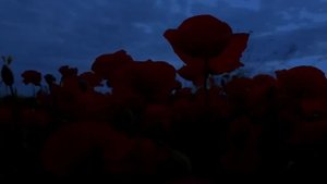 Как побороть свой страх?   Проповедь № 83