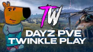 ЧИЛОВЫЙ ОБЗОР НА TWINKLE PLAY! PVE СЕРВЕР В DAYZ!