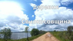 деревня Сенокосовщина. Искали кедры. Кумёнский район. Вятка.