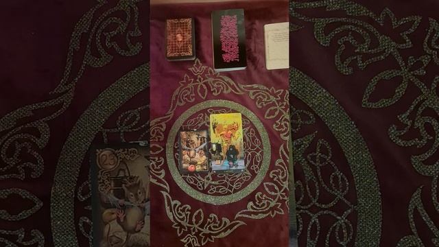 🔮Карта дня: 30 апреля 2021 год#картадня#предсказаниенадень#
