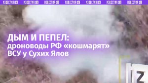 Дроноводы мотострелков «кошмарят» ВСУ на берегах реки Сухие Ялы: врагу нет покоя и прибежища