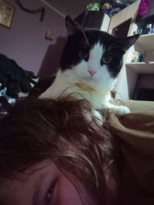 общение с подписчиками и гостями Rutube канала Rabbit2367