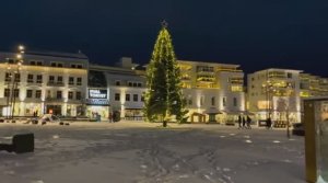 Морозная пешеходная экскурсия по Норвегии