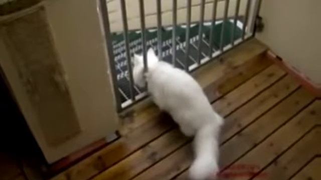 Советы жизни. смотреть онлайн