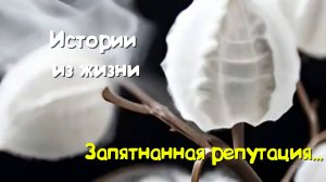 Трогательные истории - Запятнанная репутация...