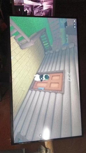 пишите в чате, что хотите чтобы я сыграла в роблоксе