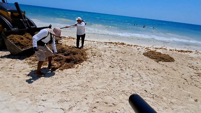 Плайя дель Кармен ! Playa del Carmen. Мексика ч.1. Собаки, пляжи "72", "88" и Punta Esmeralda смотреть онлайн