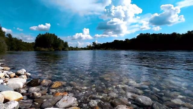Семья Колесниковых/Новости из Дворца.