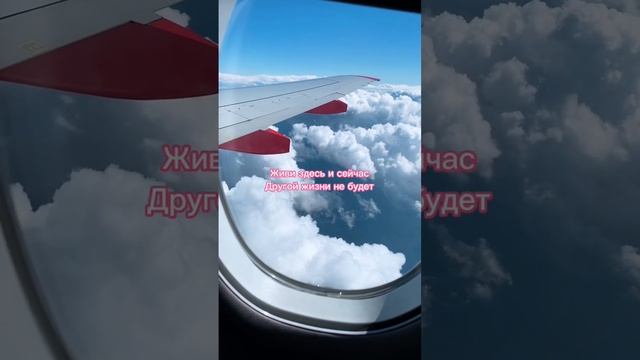 Жизнь - она в моменте, чувствуй её, наслаждайся, не откладывай на потом #живисейчас #вмоменте
