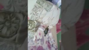 черепаха убегает