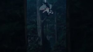 {AVM}Эдит Шинобу Кочо