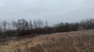 Проверка льда/украшаю дом