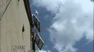 2011 Июнь Мама я