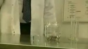 Блохи в банке Эксперимент с блохами!
