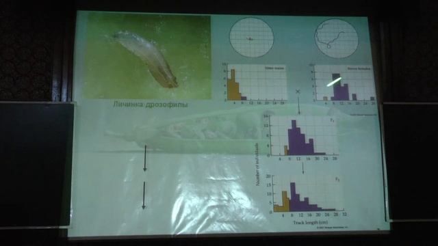 Ким А. И. - Генетика - 12. Генетические аспекты поведения
